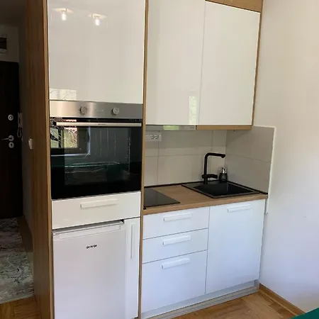Apartment Brzzii *