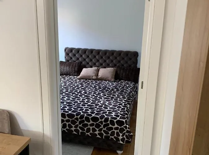 Brzzii Ζλάτιμπορ